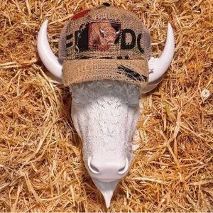 Goorin Bros Limited Edition Hat! Net Wt. 1724Kg “Gurly” Bison